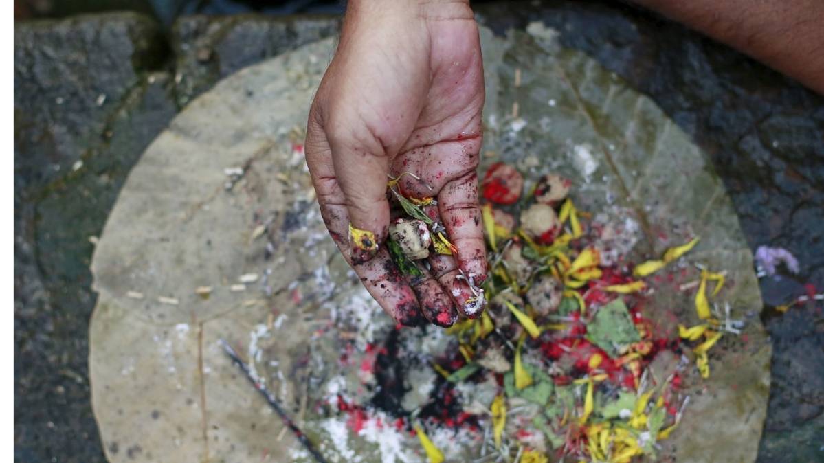 फाइल फोटो