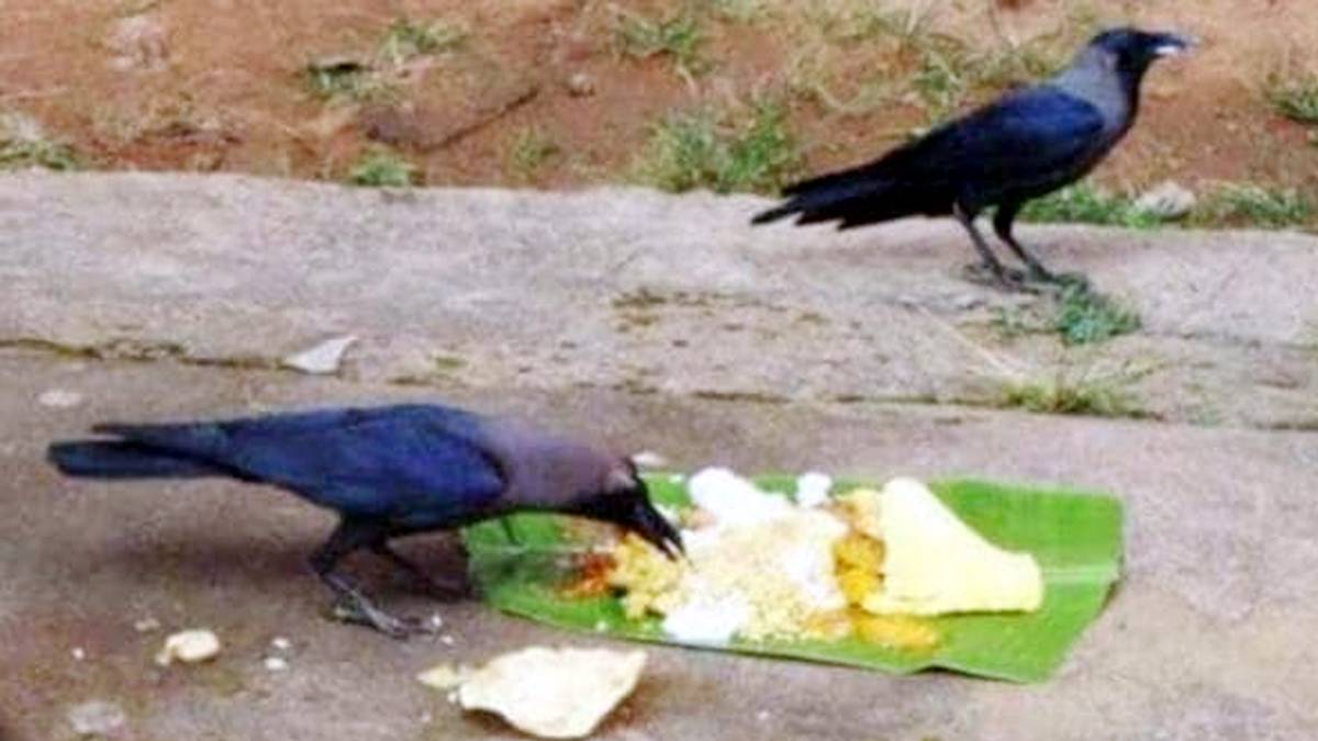 पितृ पक्ष