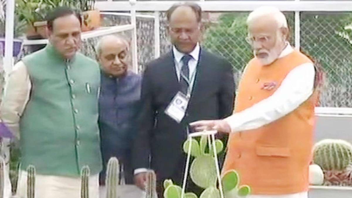 स्पेशल रिपोर्ट