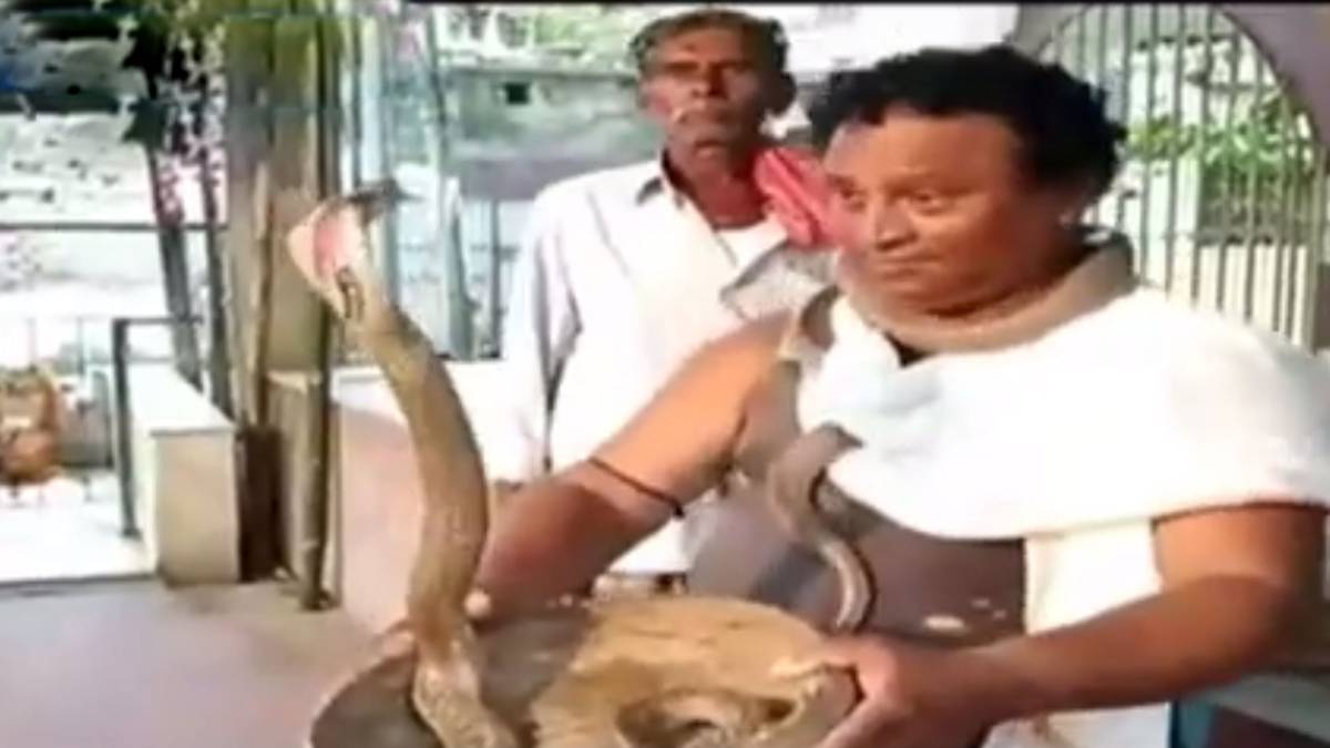 सापों के साथ खतरनाक डांस