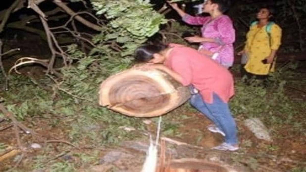 मुंबई में जंगल पर दंगल