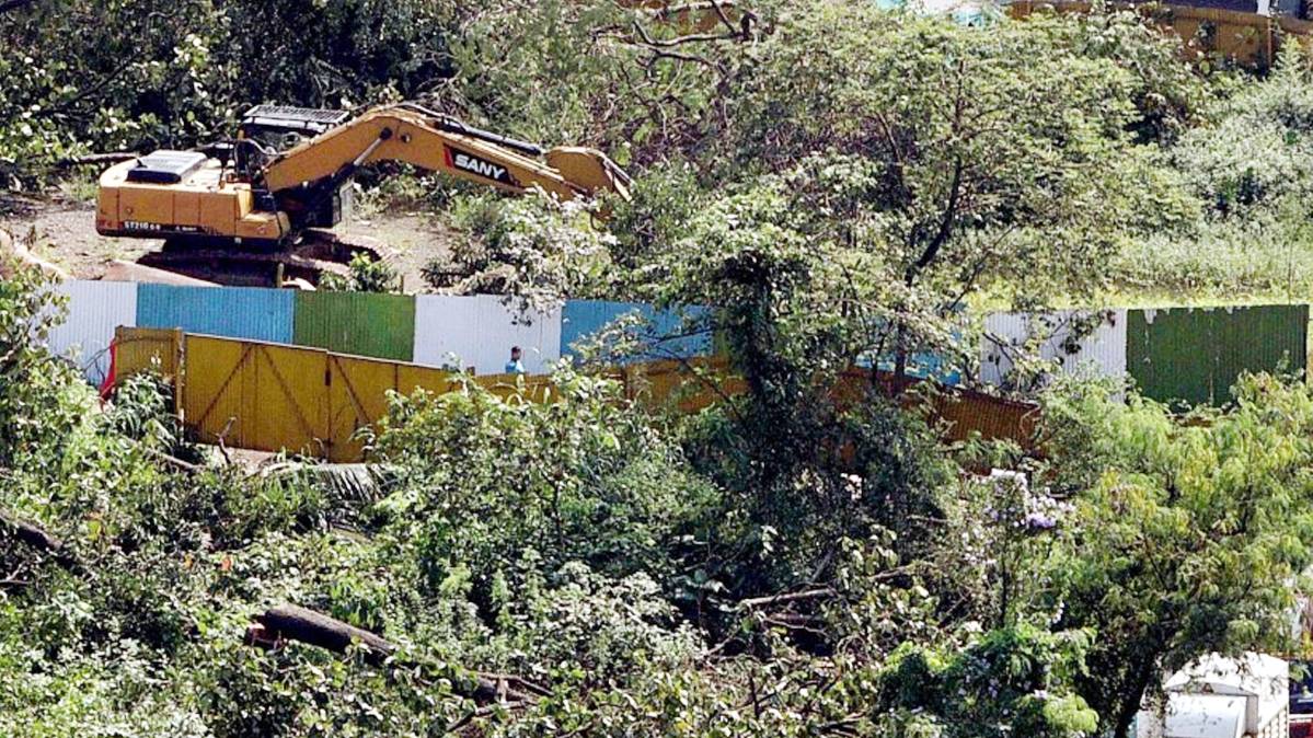 आरे कॉलोनी केस