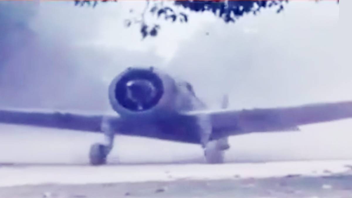 भारतीय वायुसेना (Video Grab)