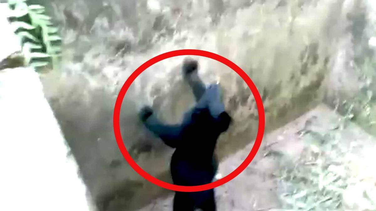 पानी के टैंक में फंसा भालू