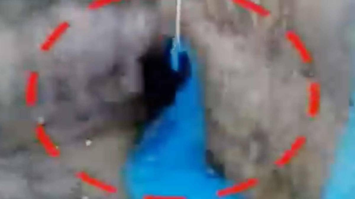 भालू  का रेस्क्यू (फोटो टीवी ग्रैब)