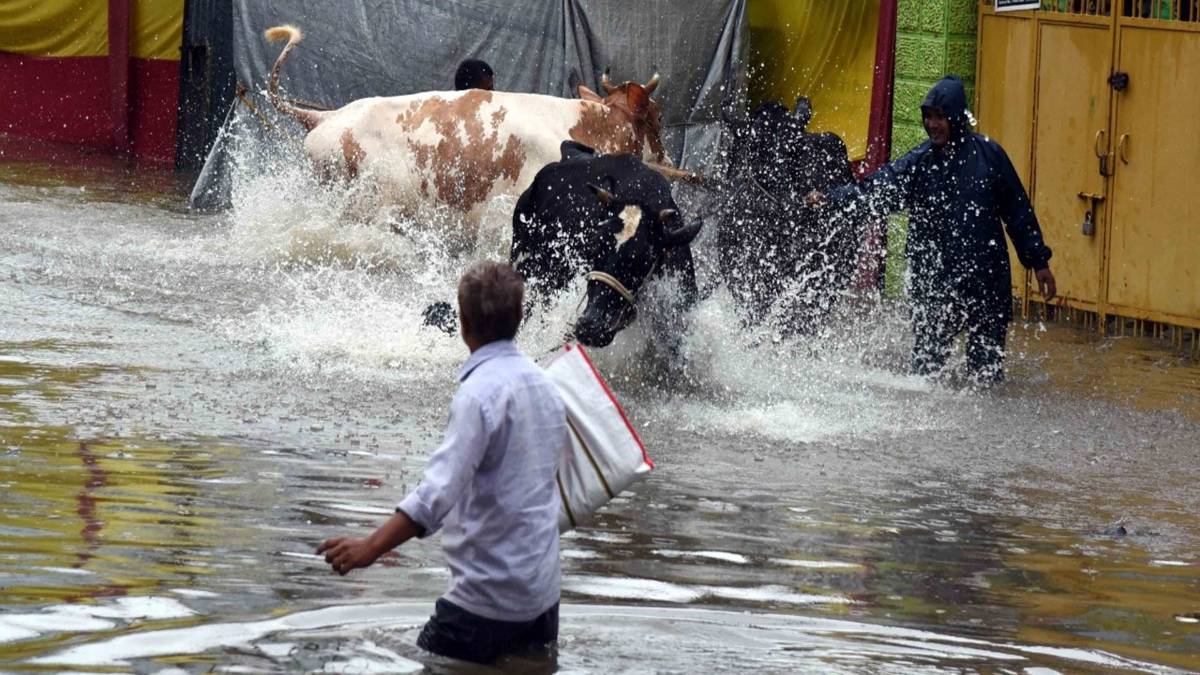 देश ने देखा पटना का हाल (फाइल फोटो)