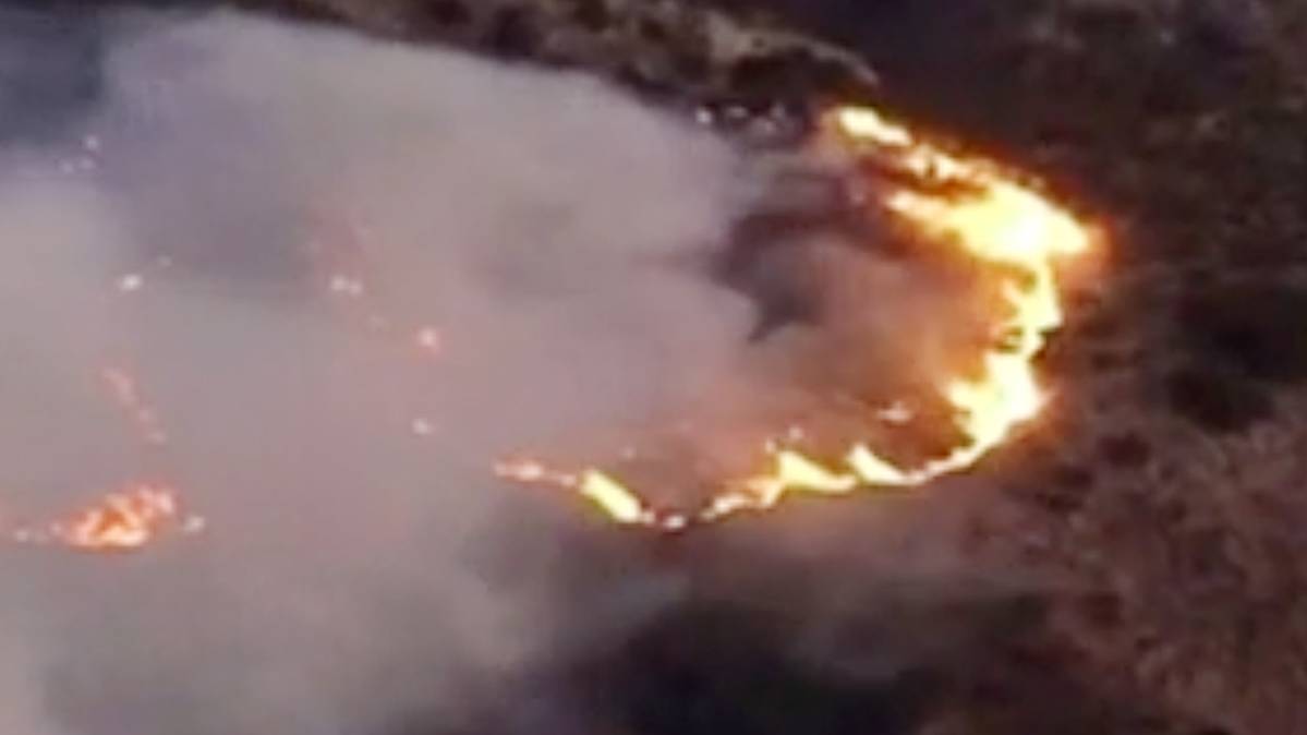 कैलिफोर्निया के जंगलों में आग