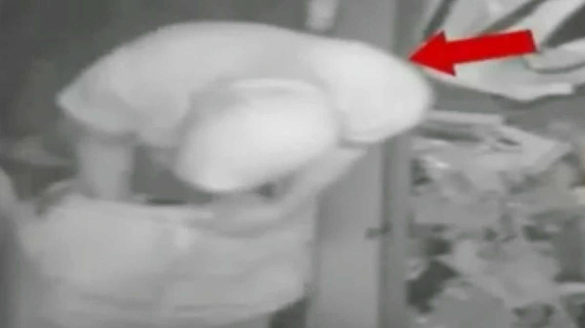 CCTV में कैद चोरी की वारदात