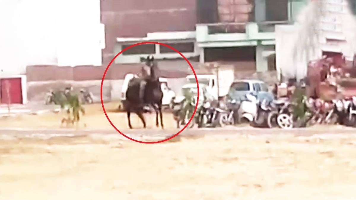 घुड़सवारी करते वक्त जमीन पर गिरे CO