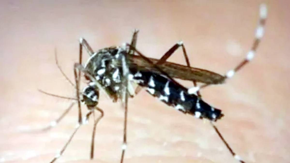 पटना में डेंगू का डंक