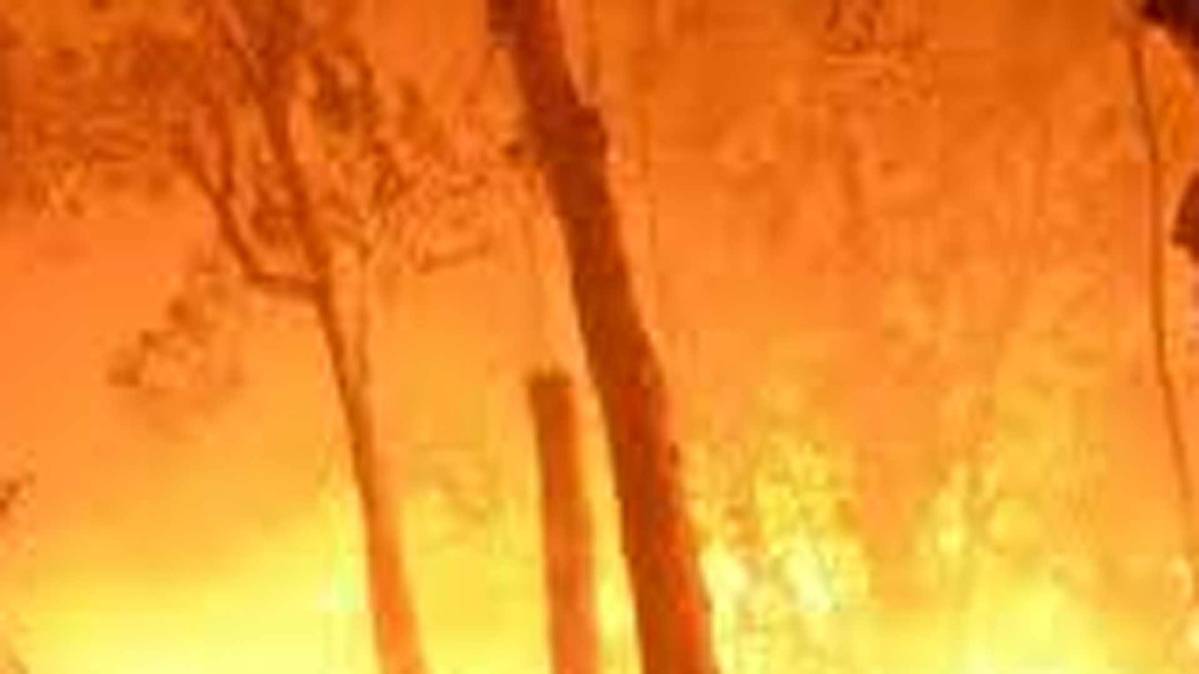 कैलिफोर्निया में जंगल की  आग से खलबली मची