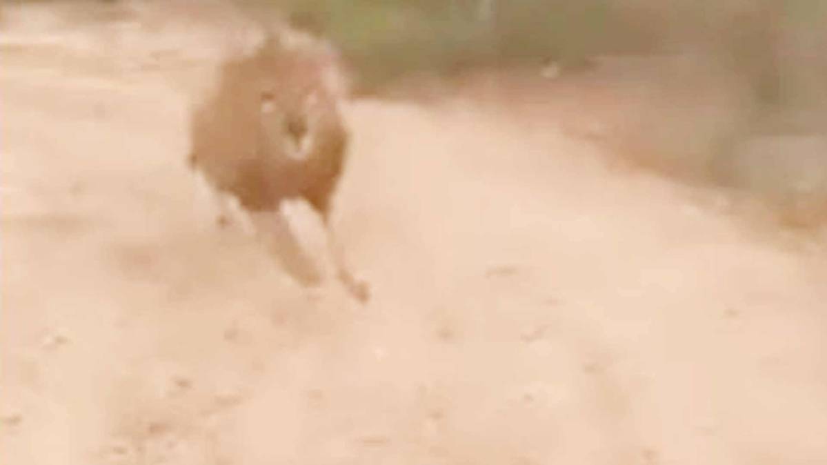 जीप के पीछे लपकते का वायरल वीडियो, देखें