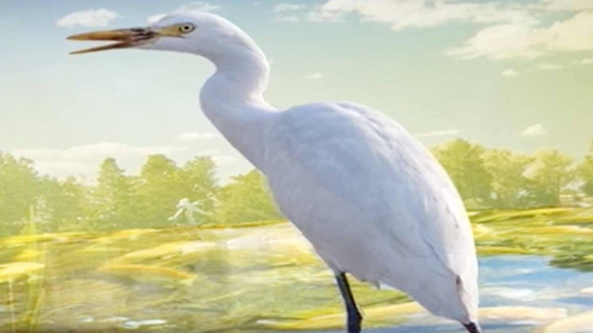 मैं भाग्य हूं