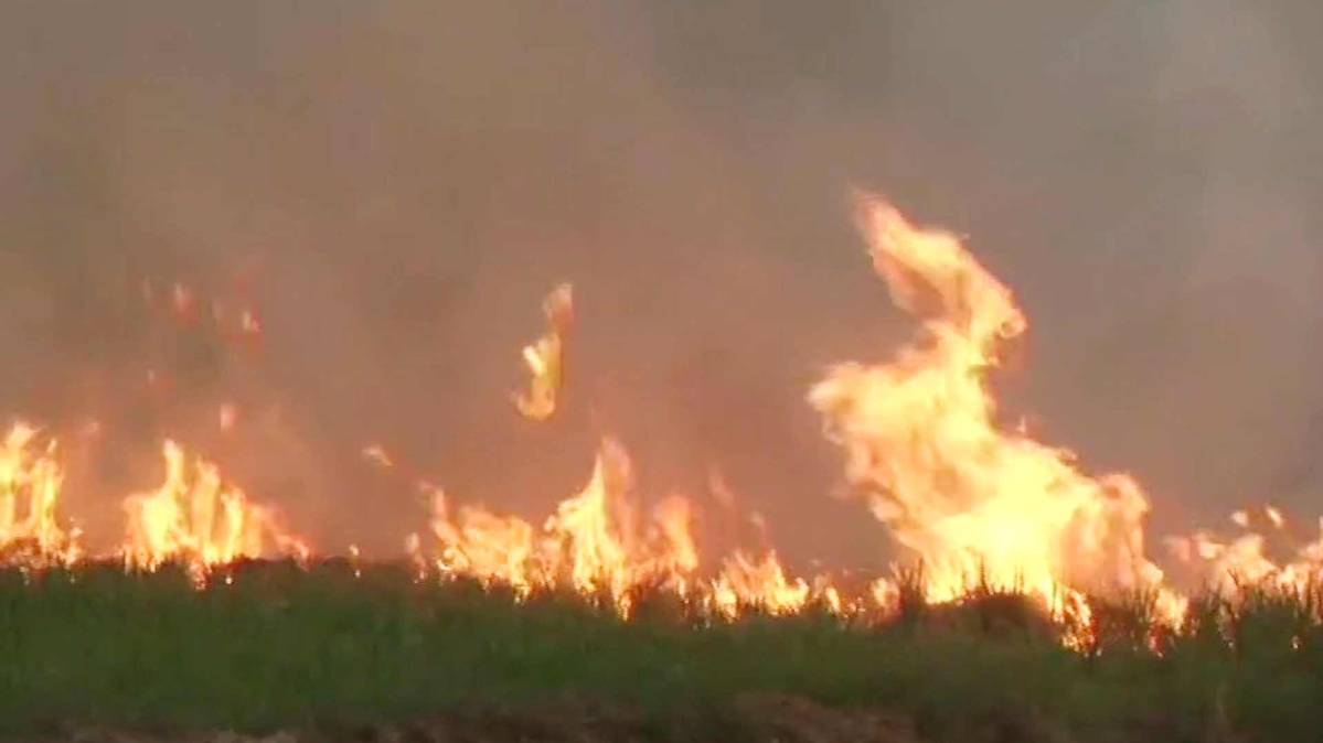 पराली जलाने से दिल्ली का दम घुटा (फोटो ANI)