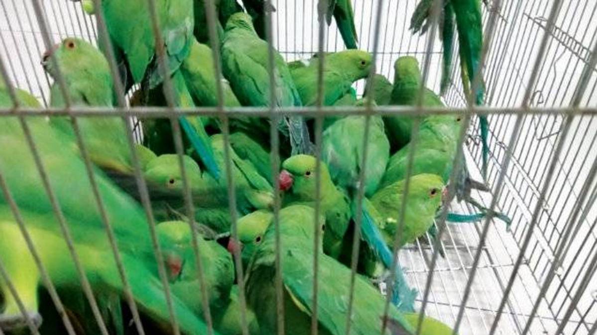 सांकेतिक तस्वीर