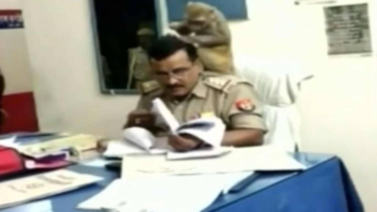 थानेदार साहब के कंधे पर बैठा बंदर (PHOTO TV GRAB)