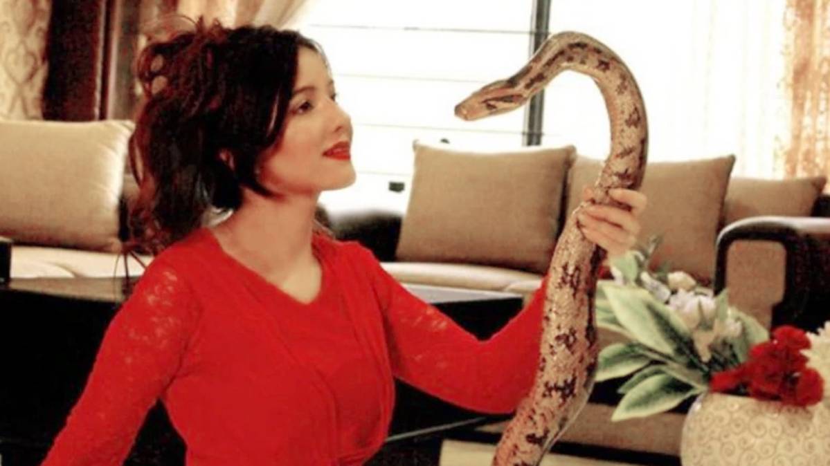 पाकिस्तानी पॉप सिंगर रबी पीरजादा(Photo: Instagram)