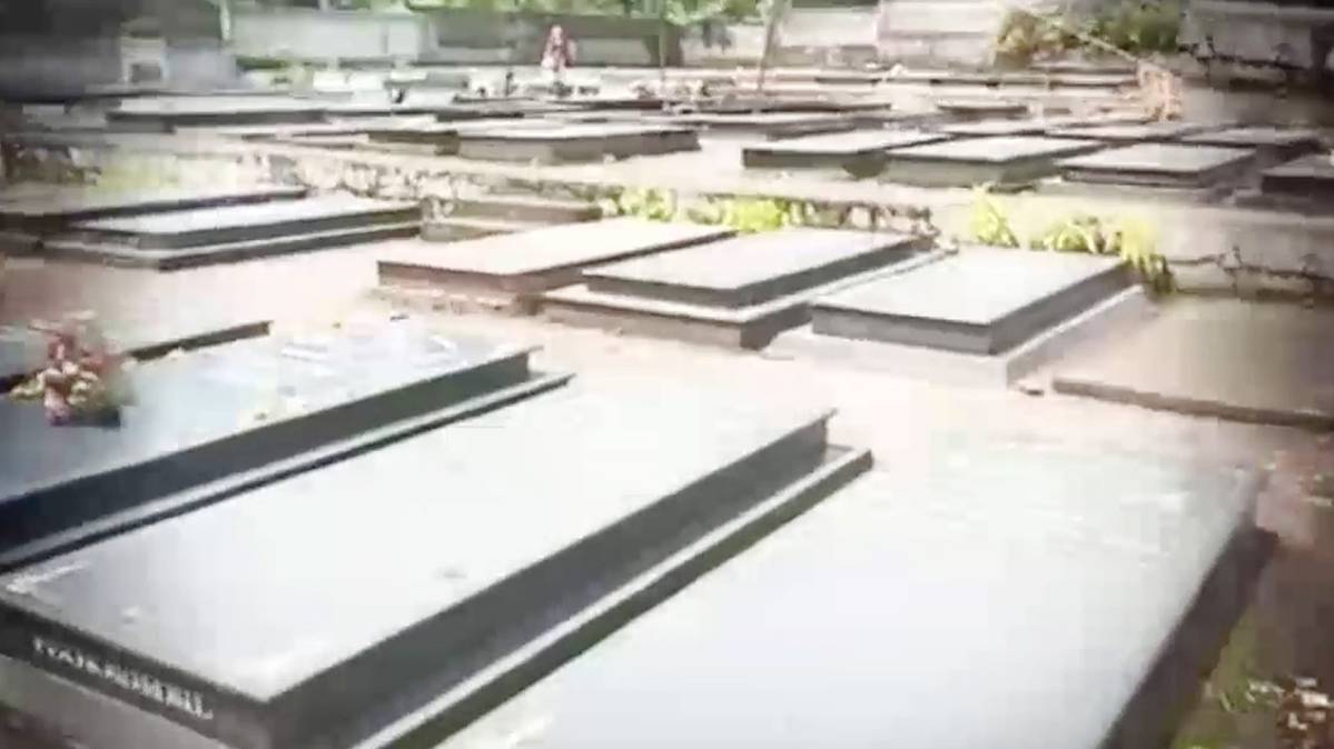 वीडियो ग्रैब