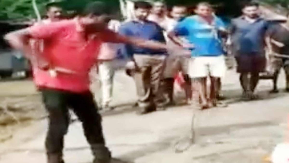 मुंगेर जेल में गुसा सांप (फोटो टीवी ग्रैब)