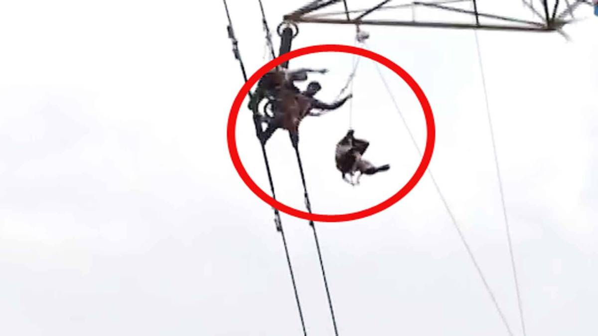 हाईटेंशन टावर पर चढ़ा युवक