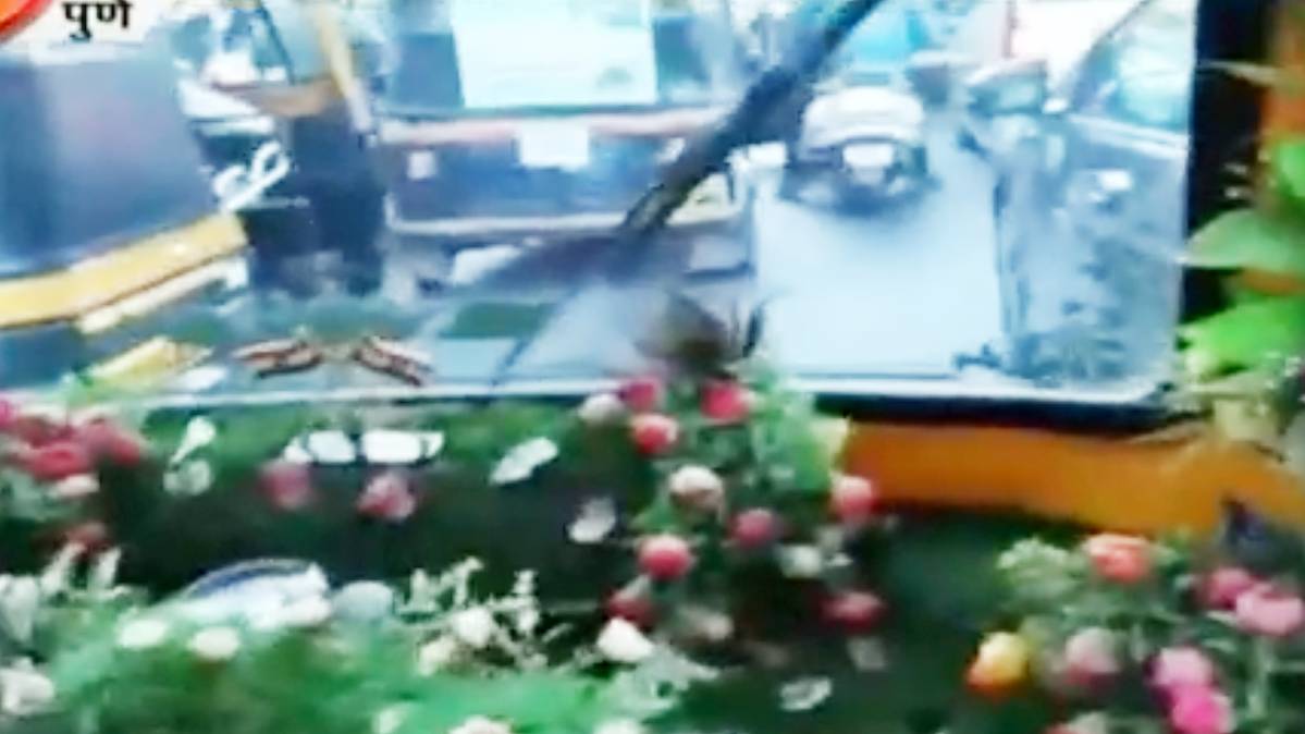 वीडियो ग्रैब