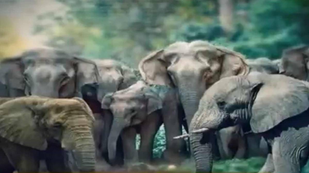 मैं भाग्य हूं