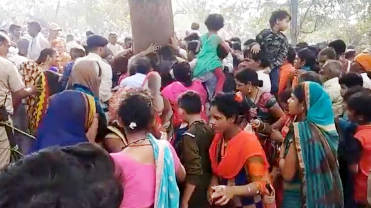 महुआ के पेड़ से लिपट रहे लोग