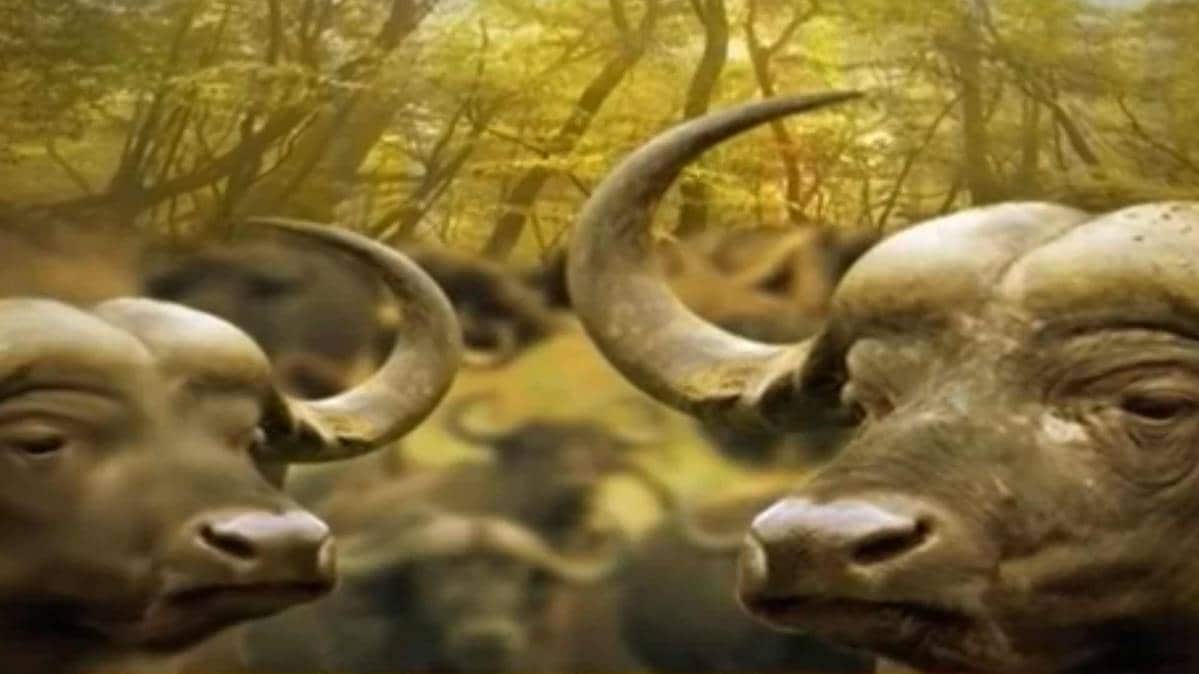 मैं भाग्य हूं