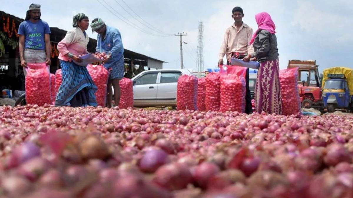 प्याज की कीमतें 100 रुपए प्रति किलो तक पहुंची(सां‍केतिक तस्वीर-PTI)