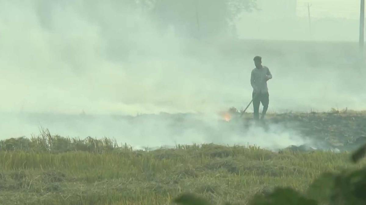 Farmers continue to burn stubble in Punjab (Image ANI)