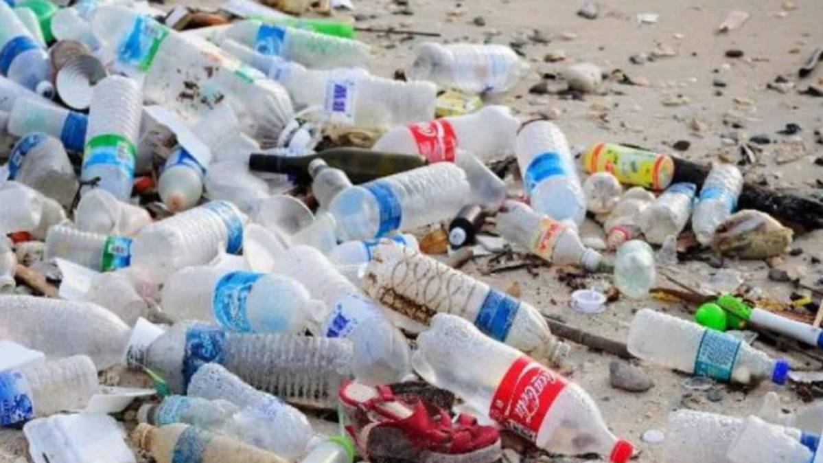 देश को प्लास्टिक मुक्त करने की मुहीम (फोटो टीवी ग्रैब)