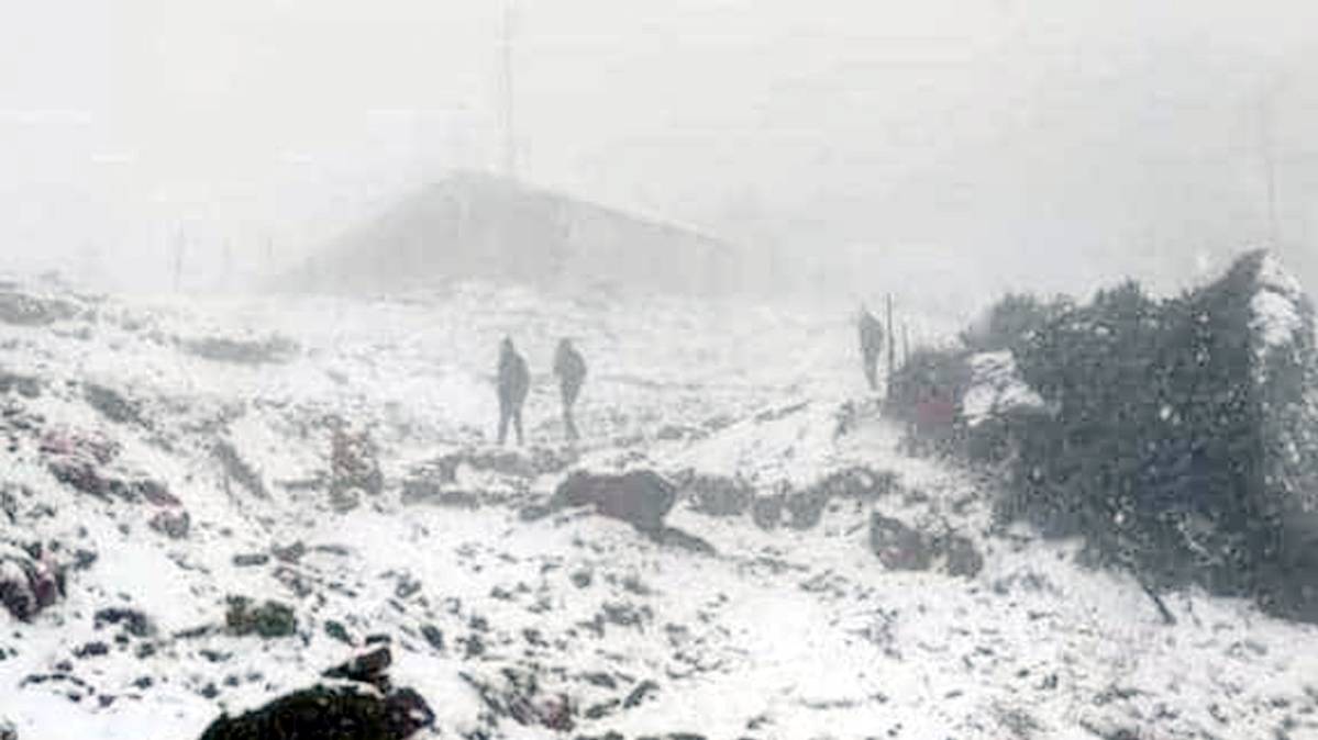 बर्फबारी (ANI)