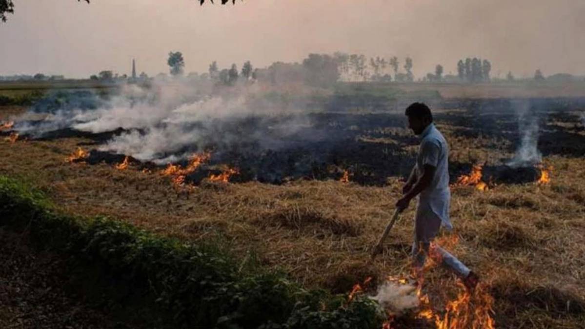 फाइल फोटो