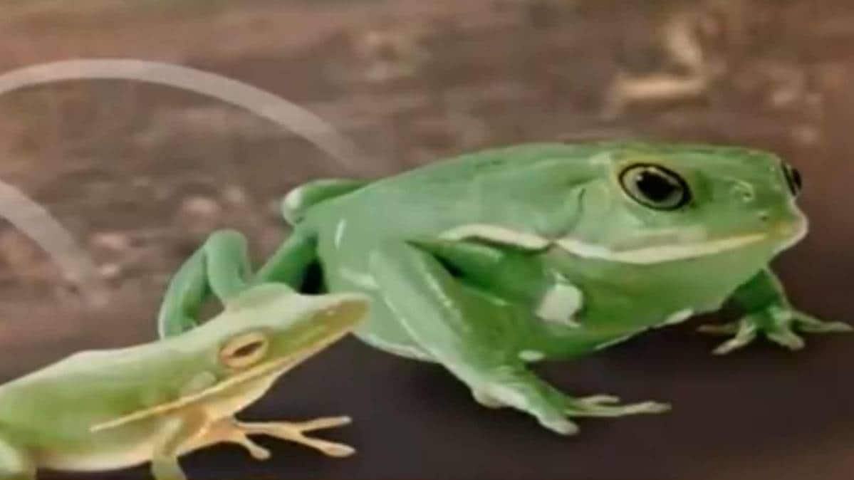 प्रतीकात्‍मक तस्‍वीर