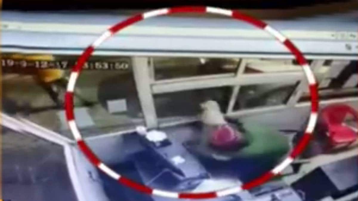 नशे में धुत दारोगा ने टोलकर्मी से की मारपीट