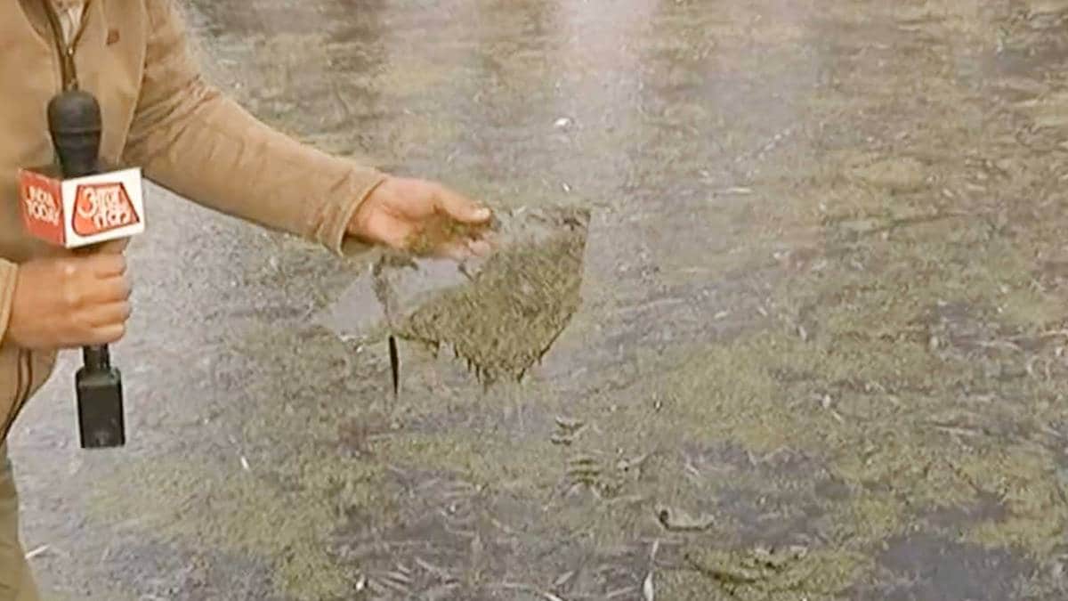 ठंड से जमने लगी डल झील