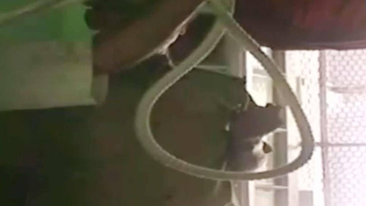 9 बज गए (फोटो टीवी ग्रैब)