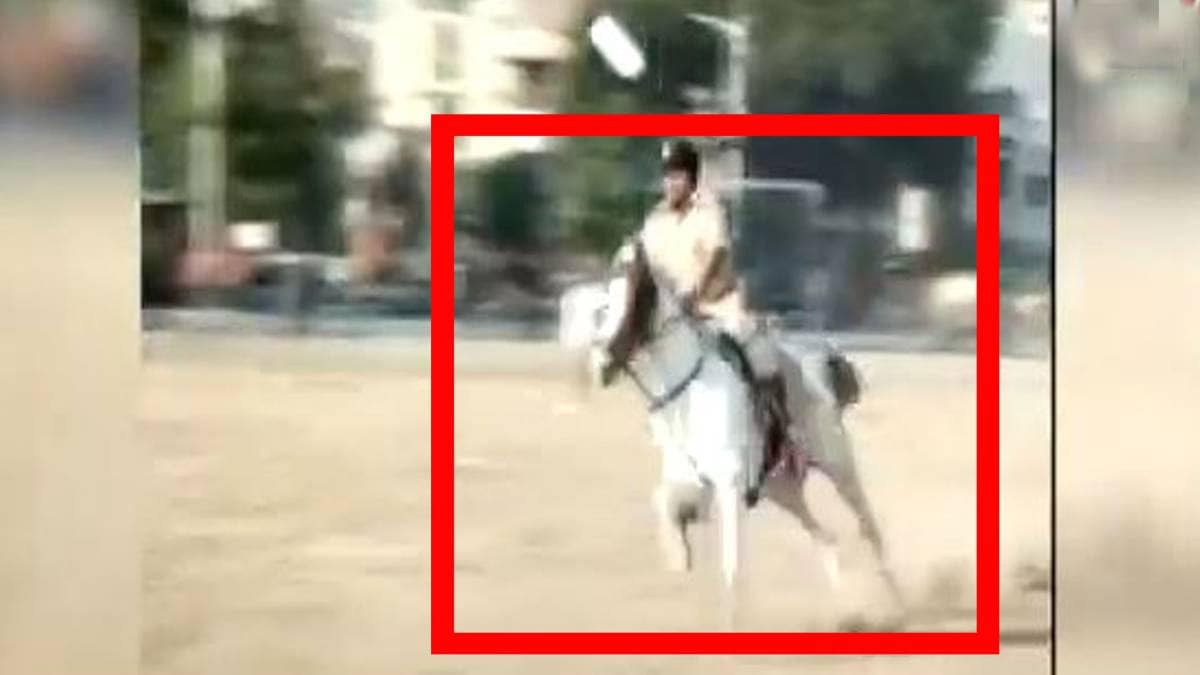 बेकाबू होकर दर्शकों पर चढ़ा घोड़ा