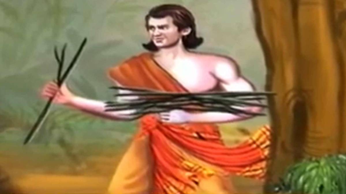 मैं भाग्य हूं