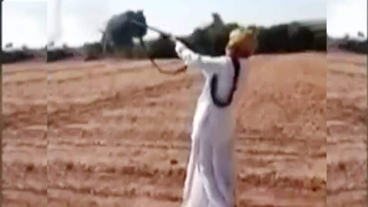 बनासकांठा, मेहसाणा और पाटन जिले में टिड्डियों का खौफ