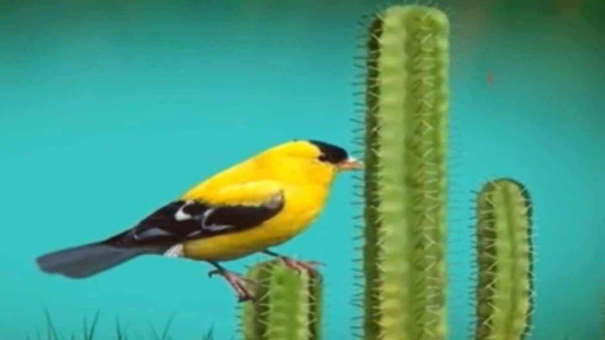 मैं भाग्य हूं