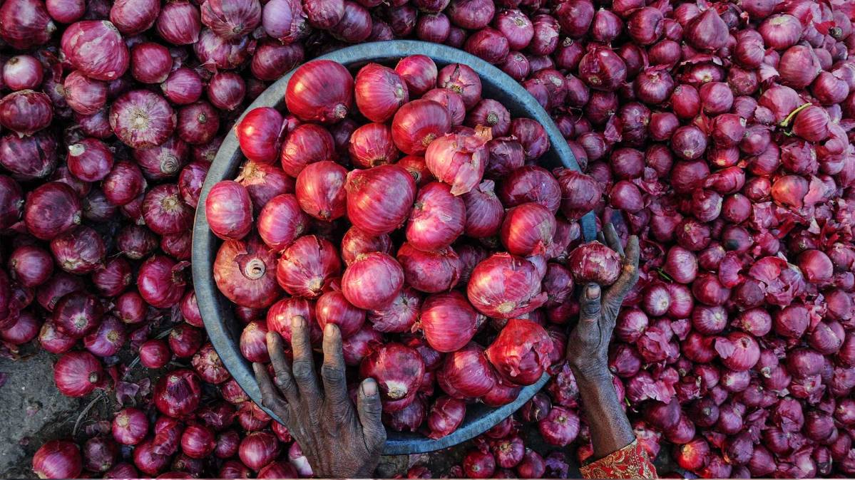प्रतीकात्मक तस्वीर