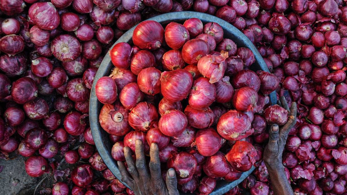 प्याज (PTI)