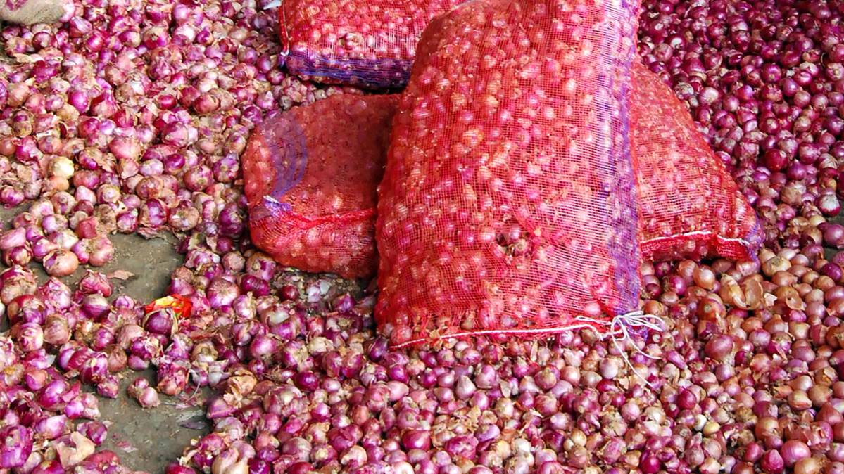 प्याज और राजनीति (PTI)