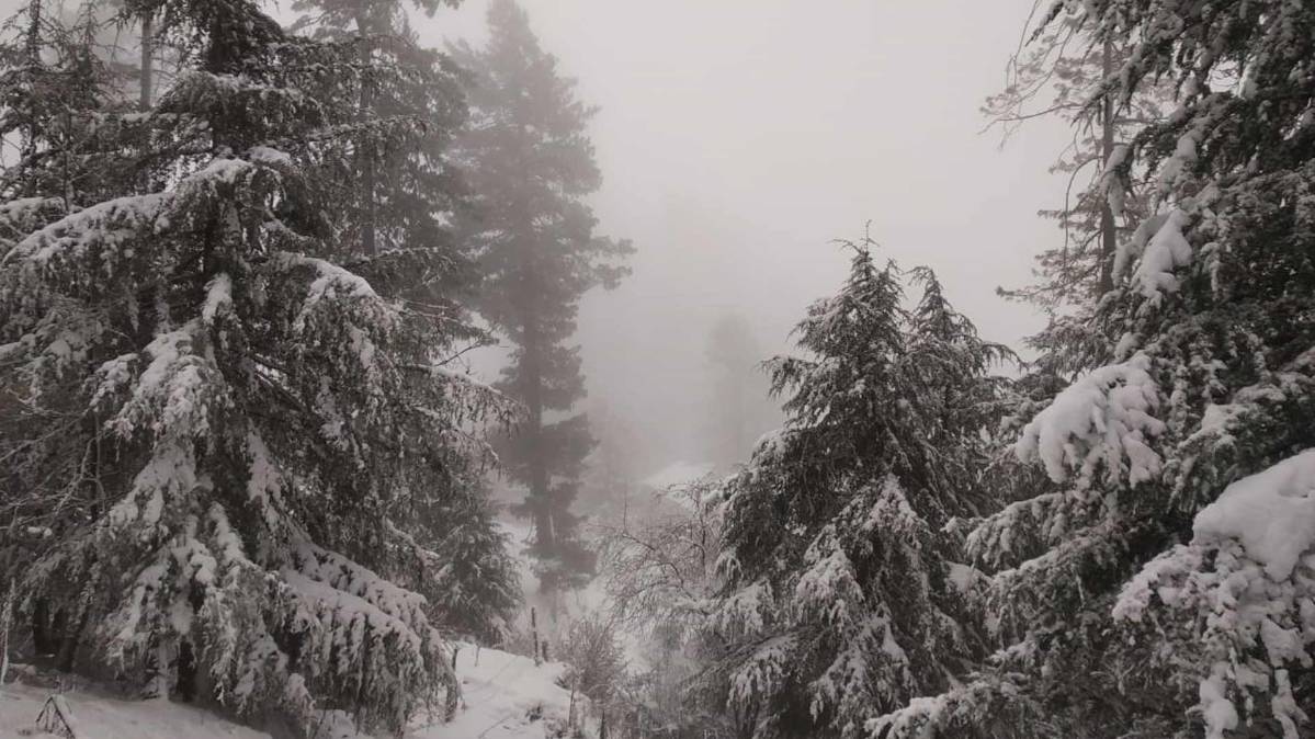 9 बज गए (फोटो ANI)