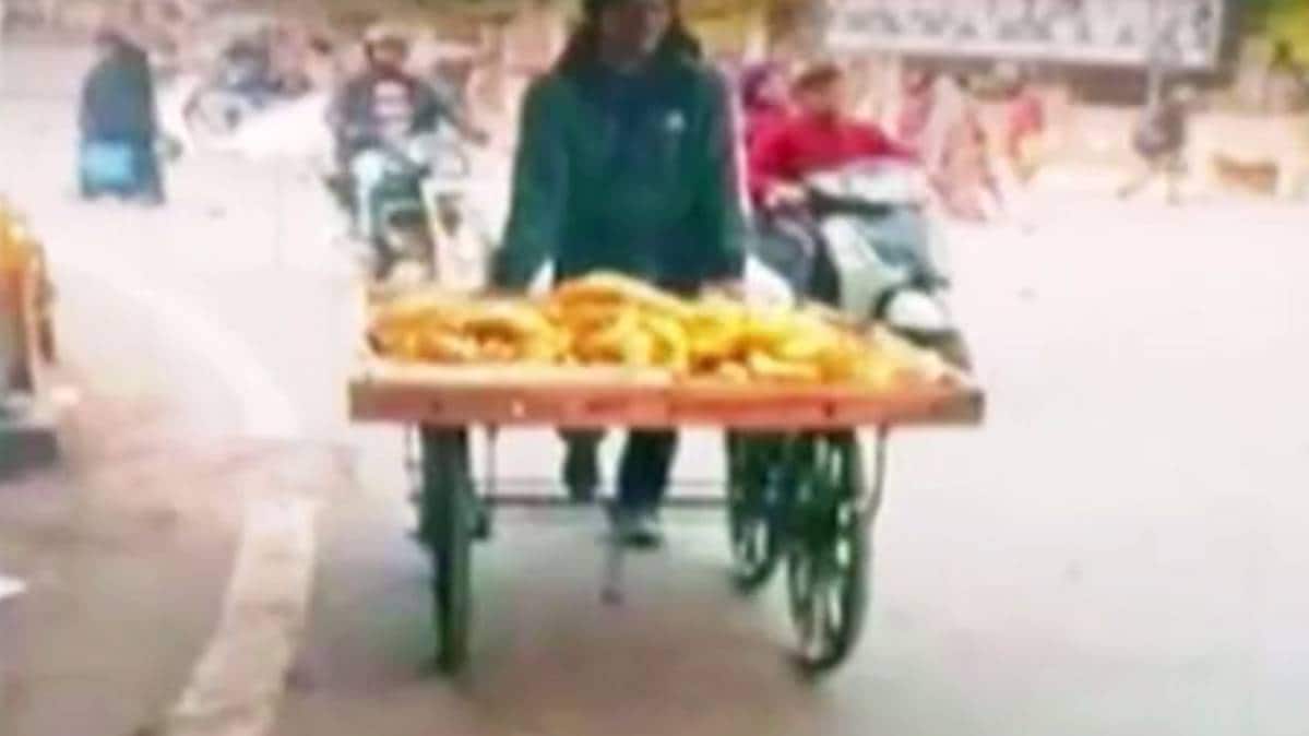 Anti-CAA Protest (ANI)