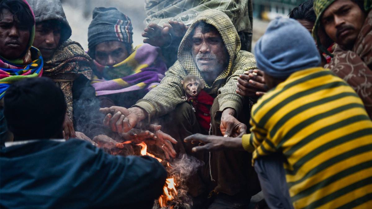 सर्दी का सितम