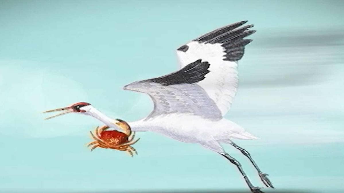 प्रतीकात्‍मक तस्‍वीर