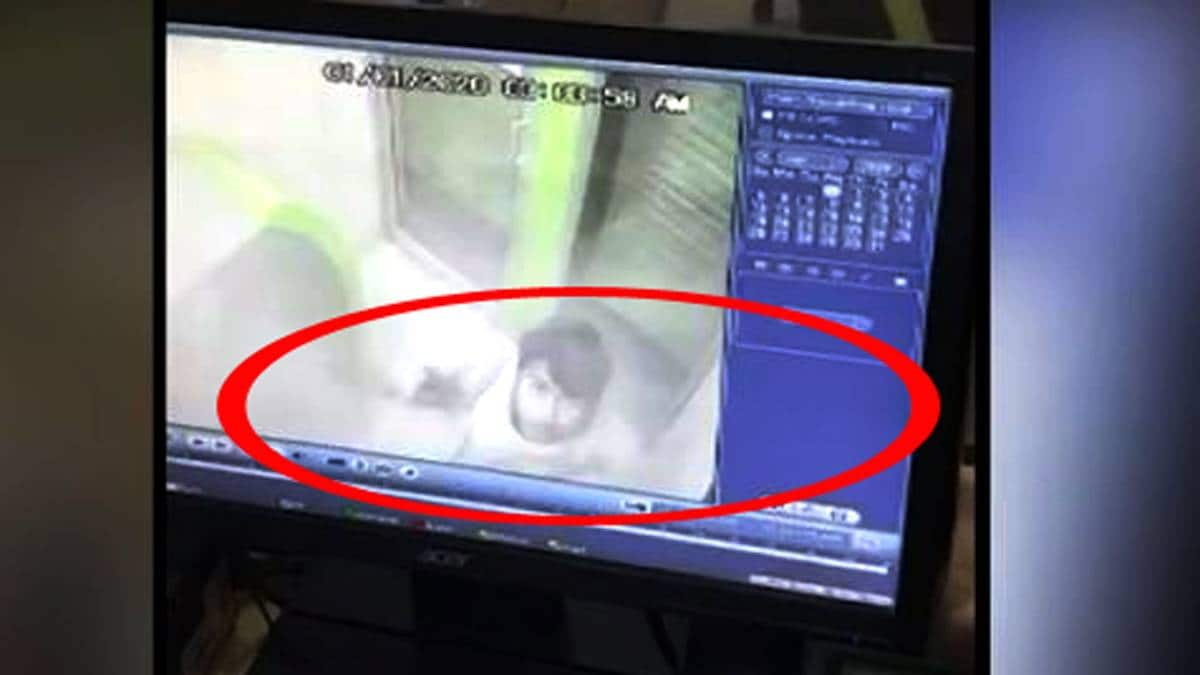 सीसीटीवी कैमरे में कैद चोरी करते हुए चोर