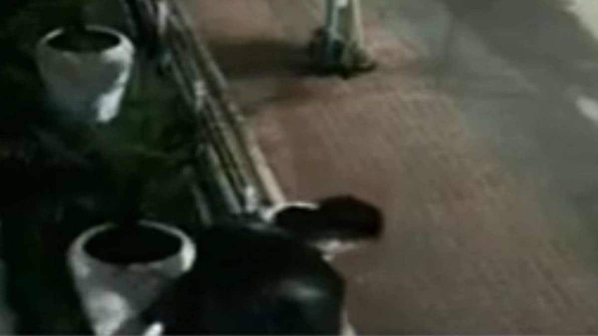 क्राइम 360